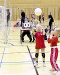 Kopio F-juniorit